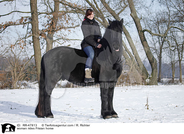 woman rides Frisian horse / RR-47813