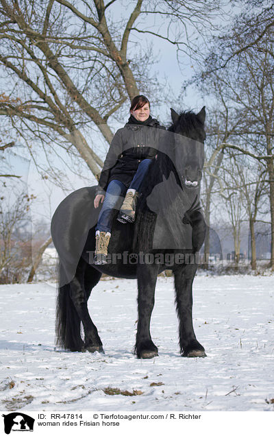 woman rides Frisian horse / RR-47814