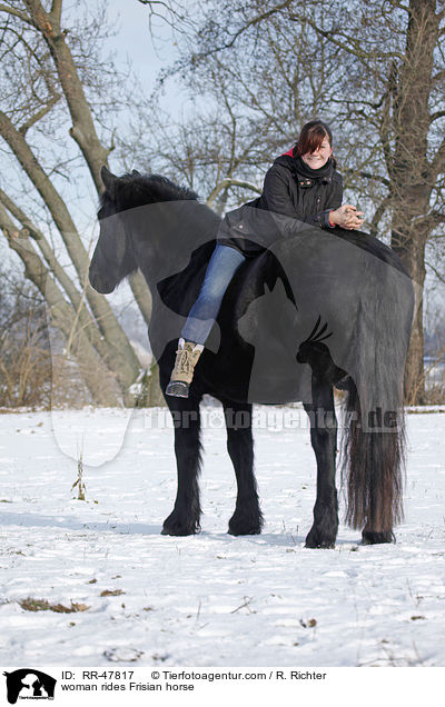 woman rides Frisian horse / RR-47817