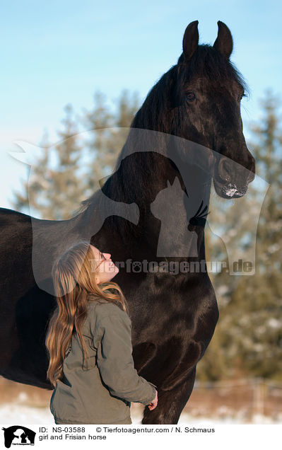 girl and Frisian horse / NS-03588