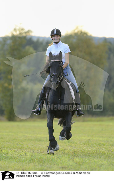 woman rides Frisian horse / DMS-07880