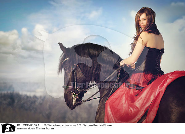 woman rides Frisian horse / CDE-01321