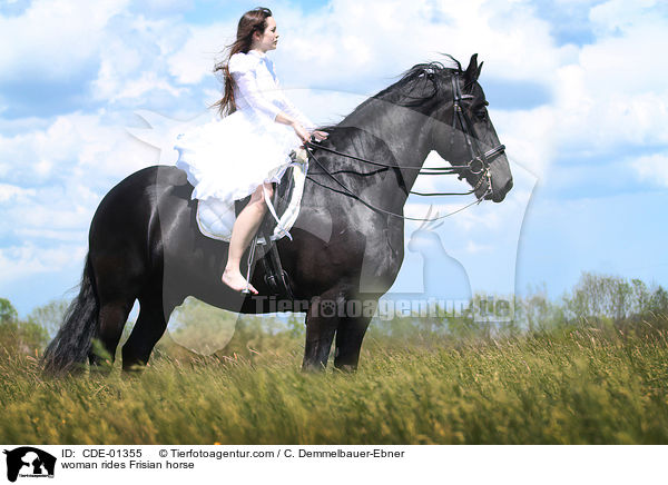 woman rides Frisian horse / CDE-01355