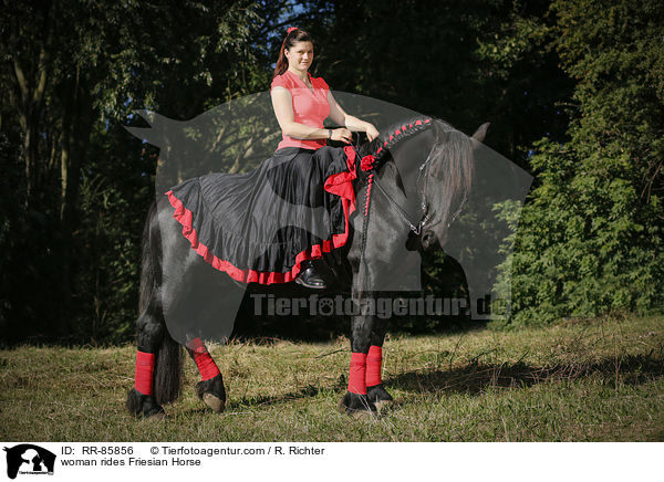 Frau reitet Friese / woman rides Friesian Horse / RR-85856