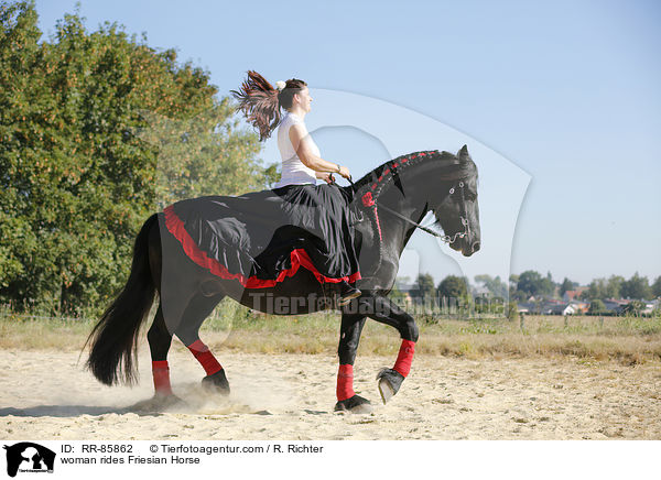 woman rides Friesian Horse / RR-85862