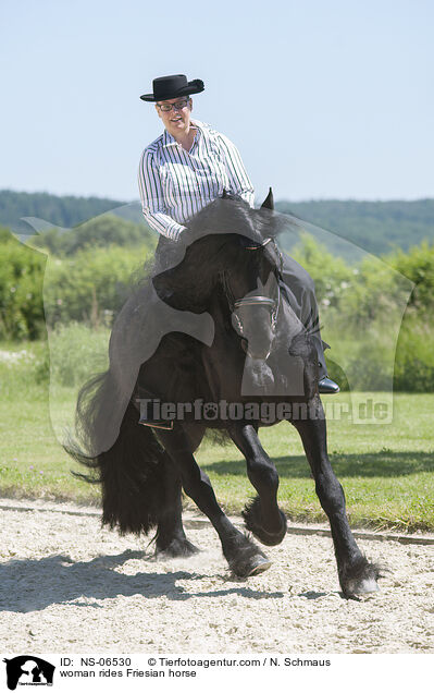 woman rides Friesian horse / NS-06530