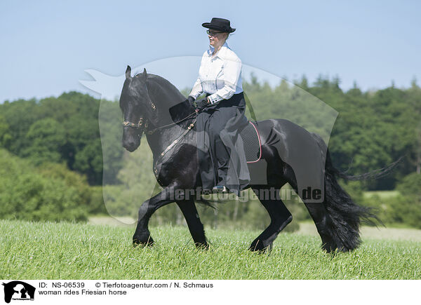 Frau reitet Friese / woman rides Friesian horse / NS-06539