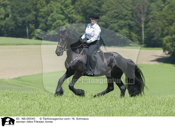 woman rides Friesian horse / NS-06540