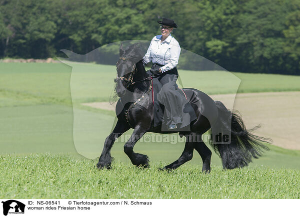 woman rides Friesian horse / NS-06541