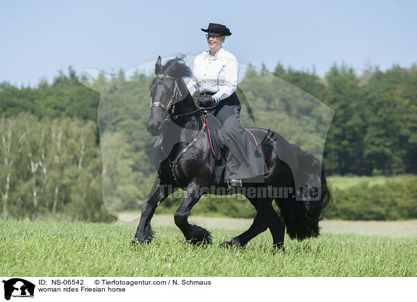 woman rides Friesian horse / NS-06542
