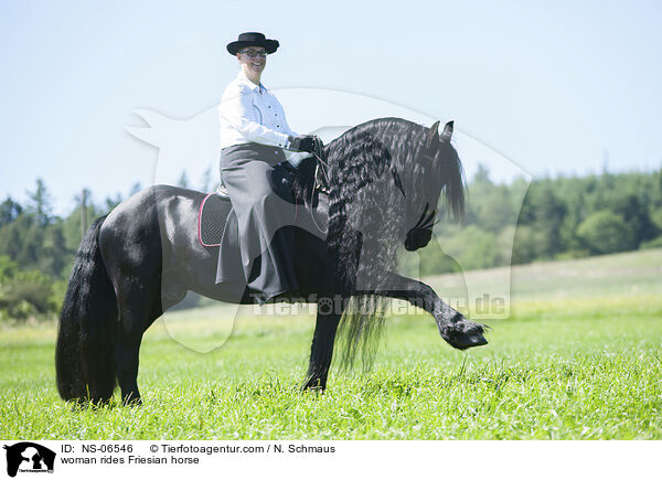 Frau reitet Friese / woman rides Friesian horse / NS-06546