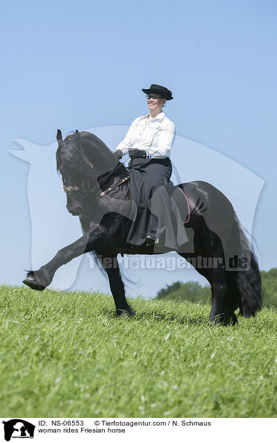 woman rides Friesian horse / NS-06553