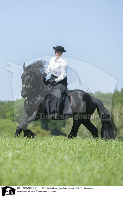 woman rides Friesian horse / NS-06560