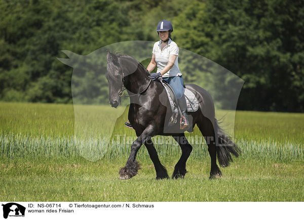 Frau reitet Friese / woman rides Frisian / NS-06714