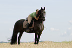 woman rides Frisian horse