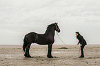 woman and Frisian Horse