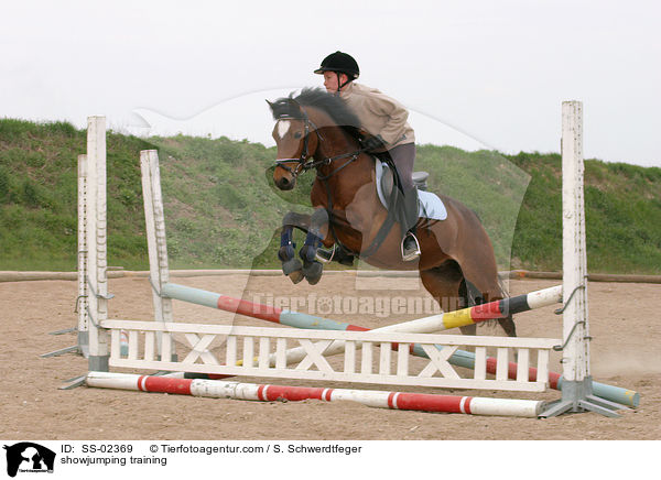 showjumping training / SS-02369