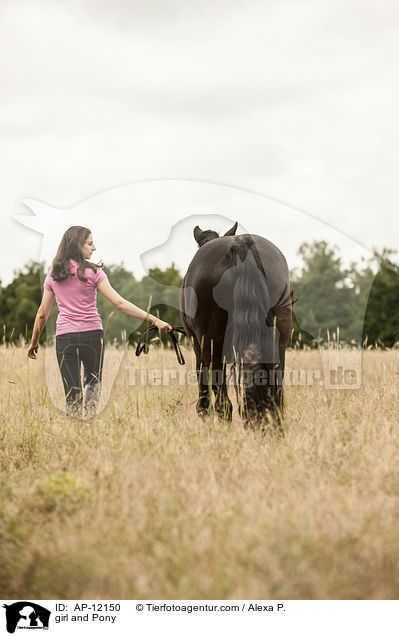 girl and Pony / AP-12150