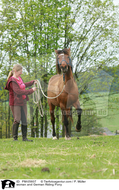 woman and German Riding Pony / PM-05607