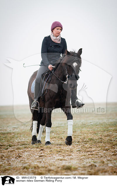 Frau reitet Deutsches Reitpony / woman rides German Riding Pony / MW-03579