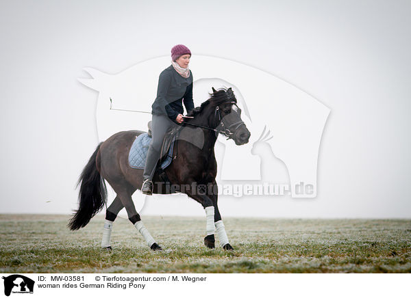Frau reitet Deutsches Reitpony / woman rides German Riding Pony / MW-03581