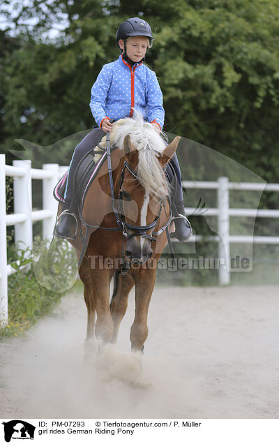 Mdchen reitet Deutsches Reitpony / girl rides German Riding Pony / PM-07293