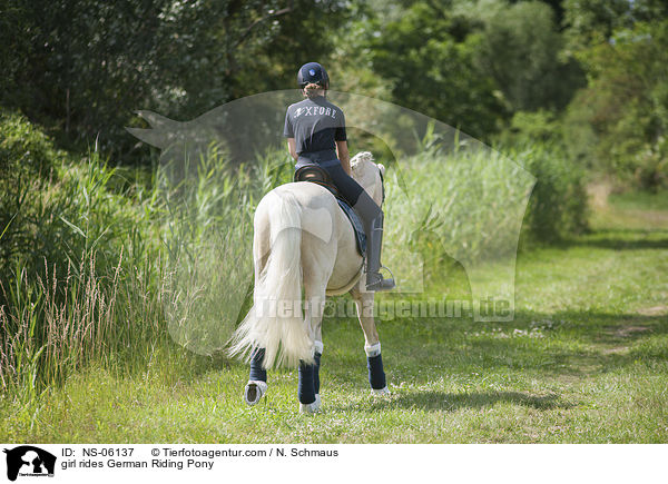girl rides German Riding Pony / NS-06137