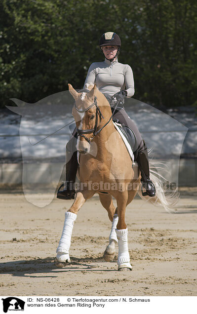 woman rides German Riding Pony / NS-06428