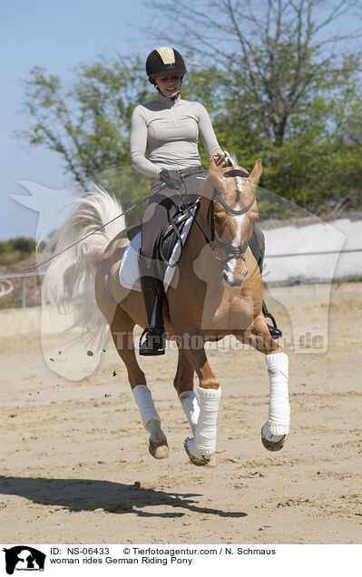 woman rides German Riding Pony / NS-06433