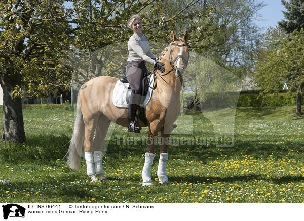 woman rides German Riding Pony / NS-06441