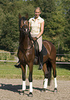 pony stallion under saddle