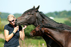 woman with horses