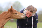 woman and German Riding Pony foals