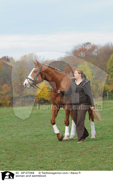 woman and warmblood / AP-07068