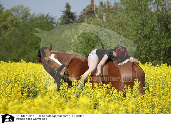 Frau reitet Deutsches Sportpferd / woman rides warmblood / RR-42911