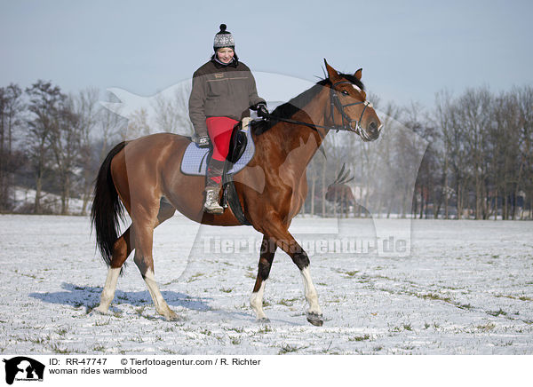 woman rides warmblood / RR-47747