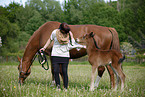 mare with foal