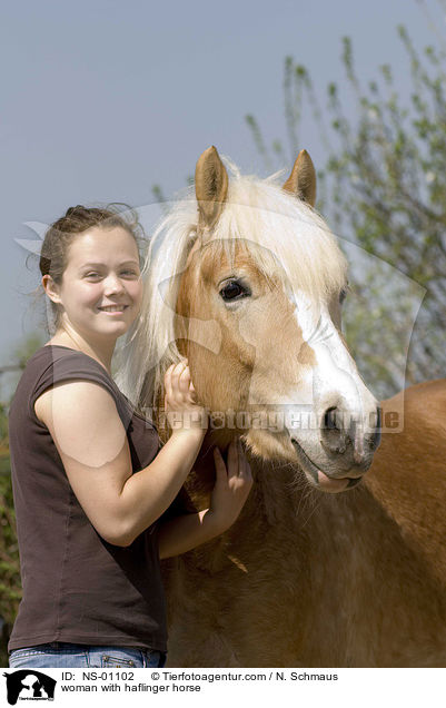 woman with haflinger horse / NS-01102