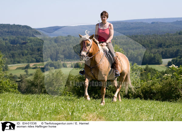 woman rides Haflinger horse / EH-01536