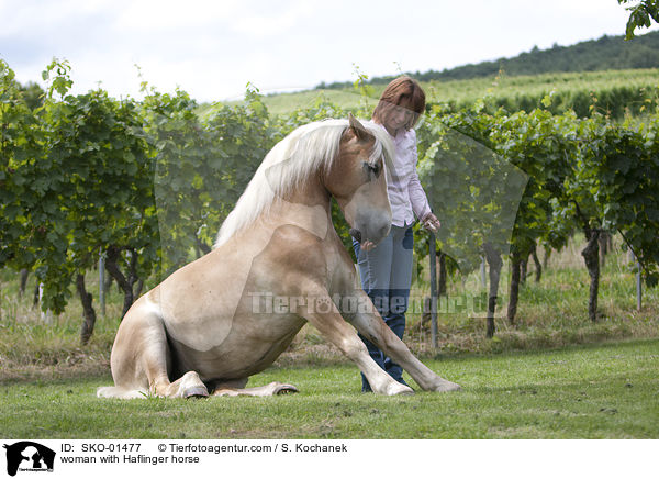 Frau mit Haflinger / woman with Haflinger horse / SKO-01477