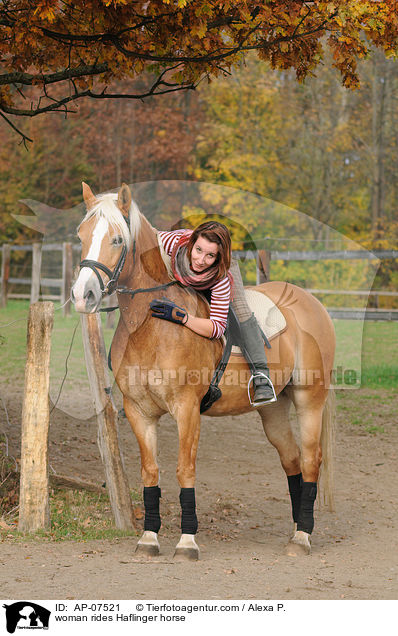 woman rides Haflinger horse / AP-07521