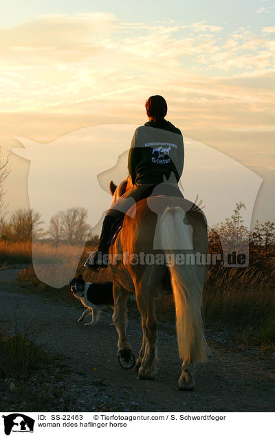Frau reitet Haflinger / woman rides haflinger horse / SS-22463