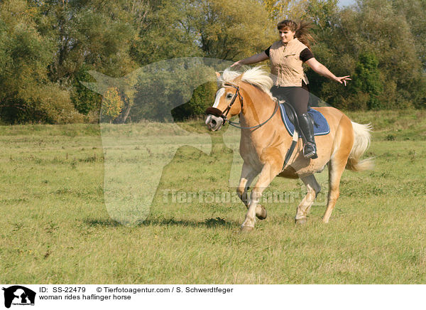 Frau reitet Haflinger / woman rides haflinger horse / SS-22479