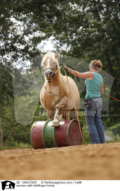 woman with Haflinger horse / VM-01526