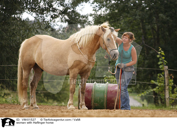 woman with Haflinger horse / VM-01527