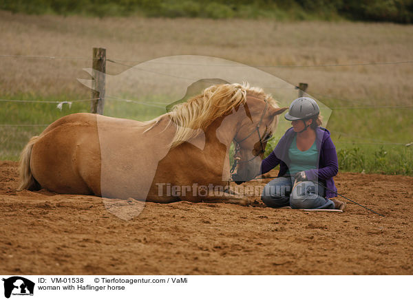 woman with Haflinger horse / VM-01538