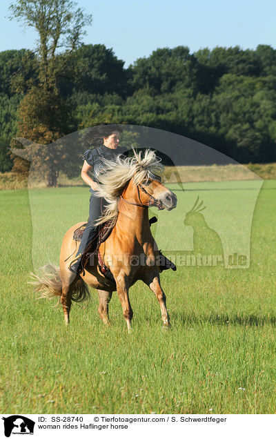 woman rides Haflinger horse / SS-28740