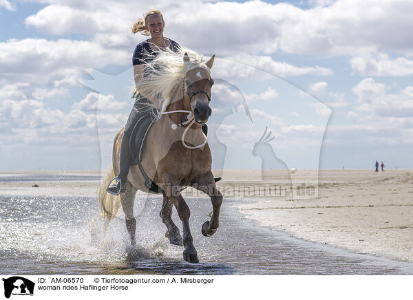 woman rides Haflinger Horse / AM-06570