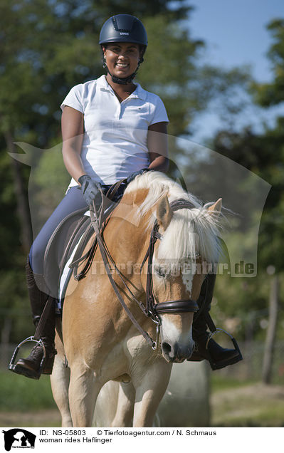 woman rides Haflinger / NS-05803
