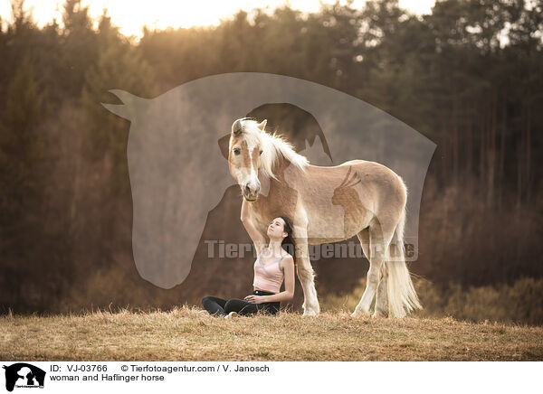 woman and Haflinger horse / VJ-03766